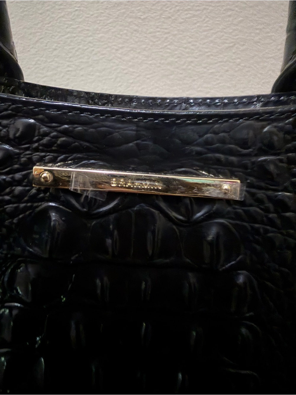 Brahmin - Picture 4 of 9